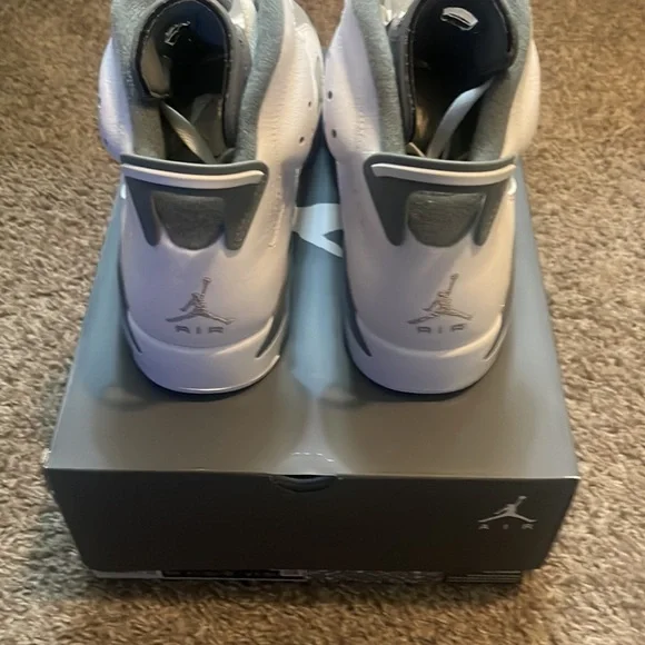 Air Jordan 6 cool grey - Picture 6 of 10